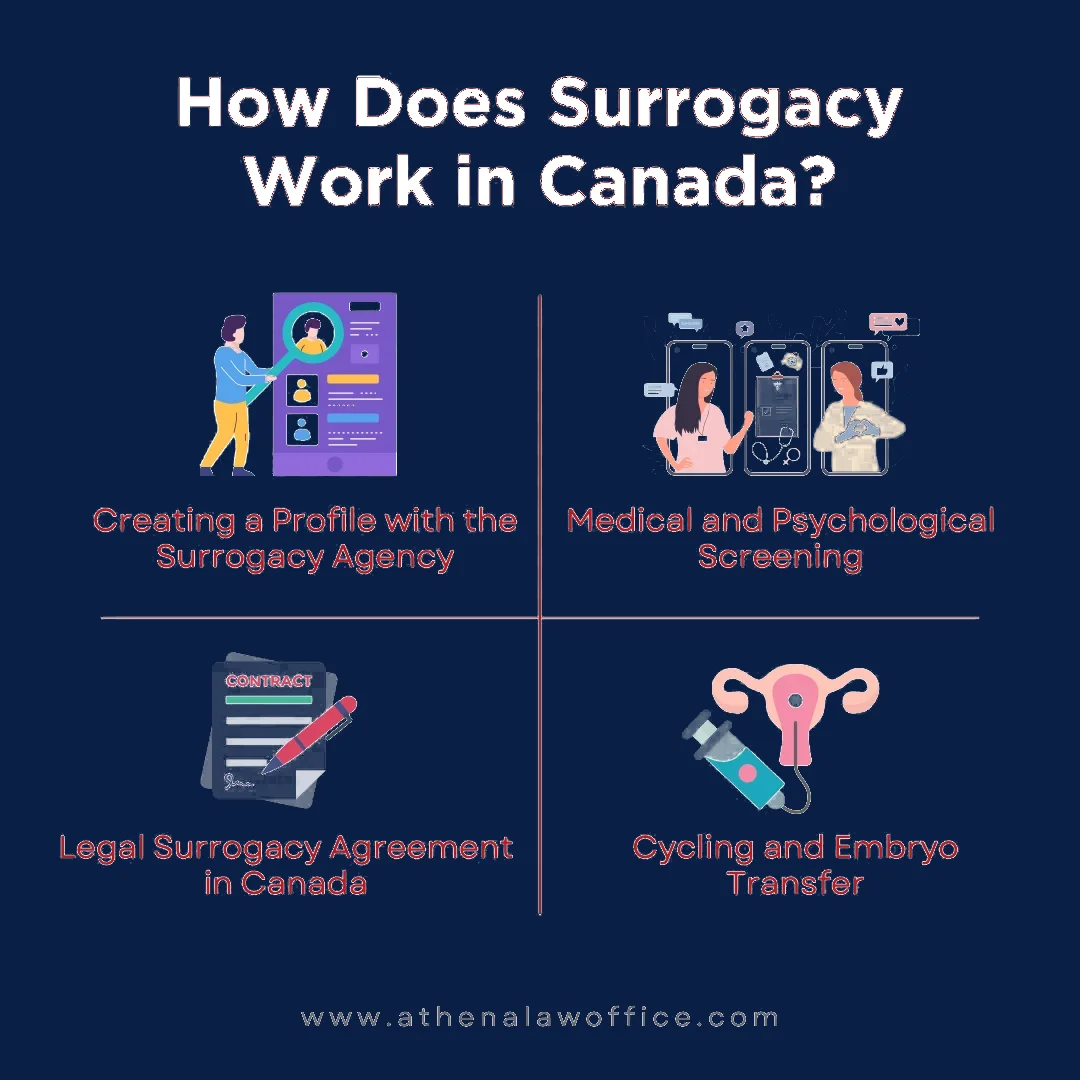 An infographic explaining how does surrogacy work in Canada