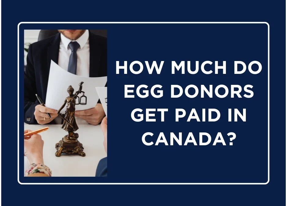 Egg Donation Pay: How Much Do Egg Donors Get Paid in Canada?